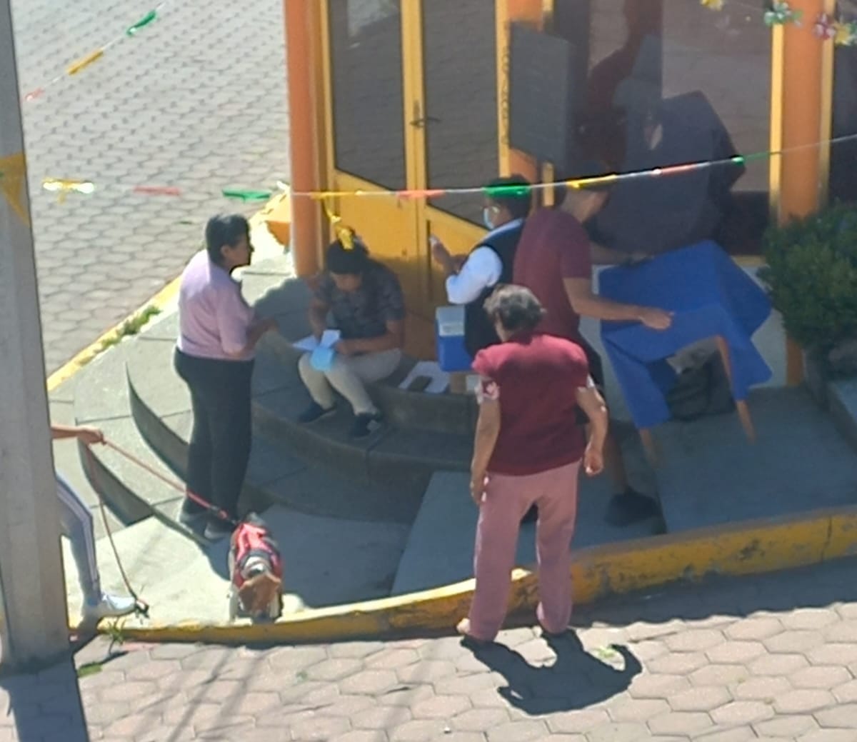 Ayuntamiento de Apetatitlán realiza nueva jornada de vacunación antirrábica canina y felina